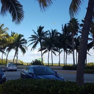 Meet your Posher, Gaudi